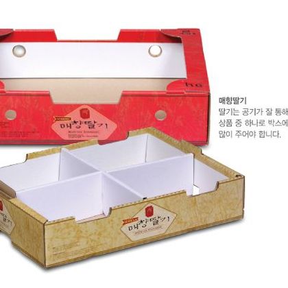 오픈형패키지 025