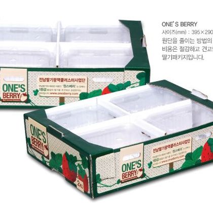 오픈형패키지 024