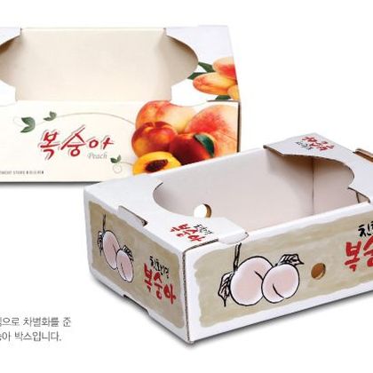 오픈형패키지 019