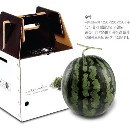 손잡이형패키지 034