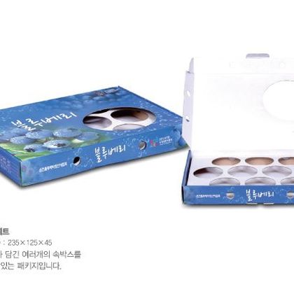 맞춤형패키지 001