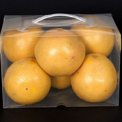 스마트 워싱팩 wp-004