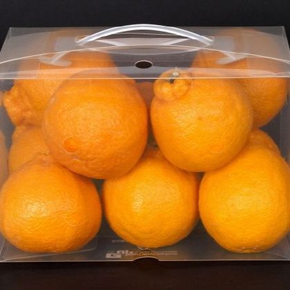 스마트 워싱팩 wp-006