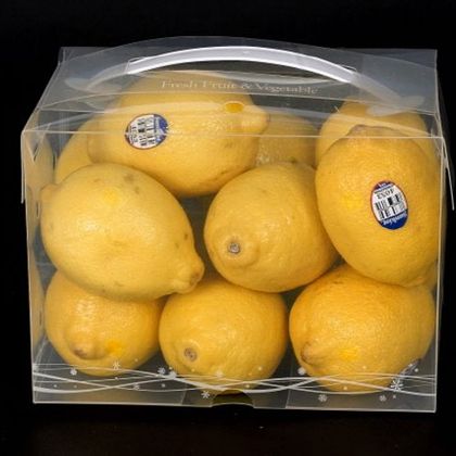 스마트 워싱팩 wp-010