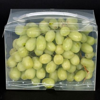 스마트 워싱팩 wp-011