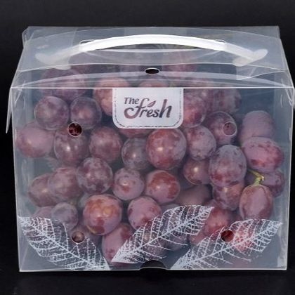 스마트 워싱팩 wp-012