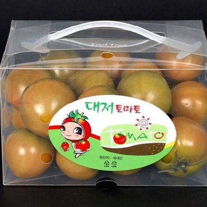 스마트 워싱팩 wp-013