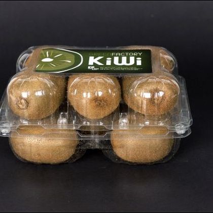 스마트2단팩 pp-004