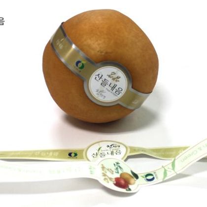 스마트밴드 sb-004